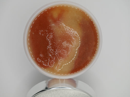 Vanilla Bliss Body Scrub